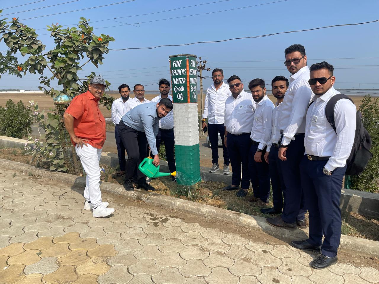 Tree Plantation