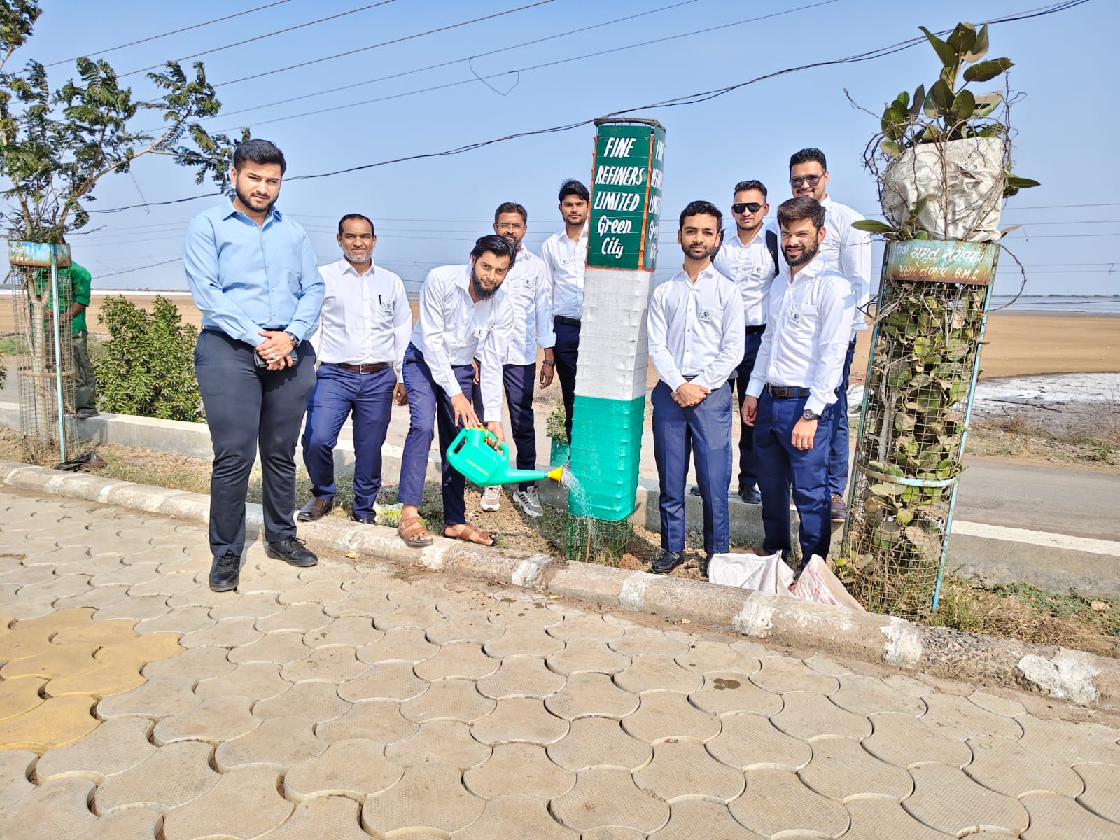 Tree Plantation
