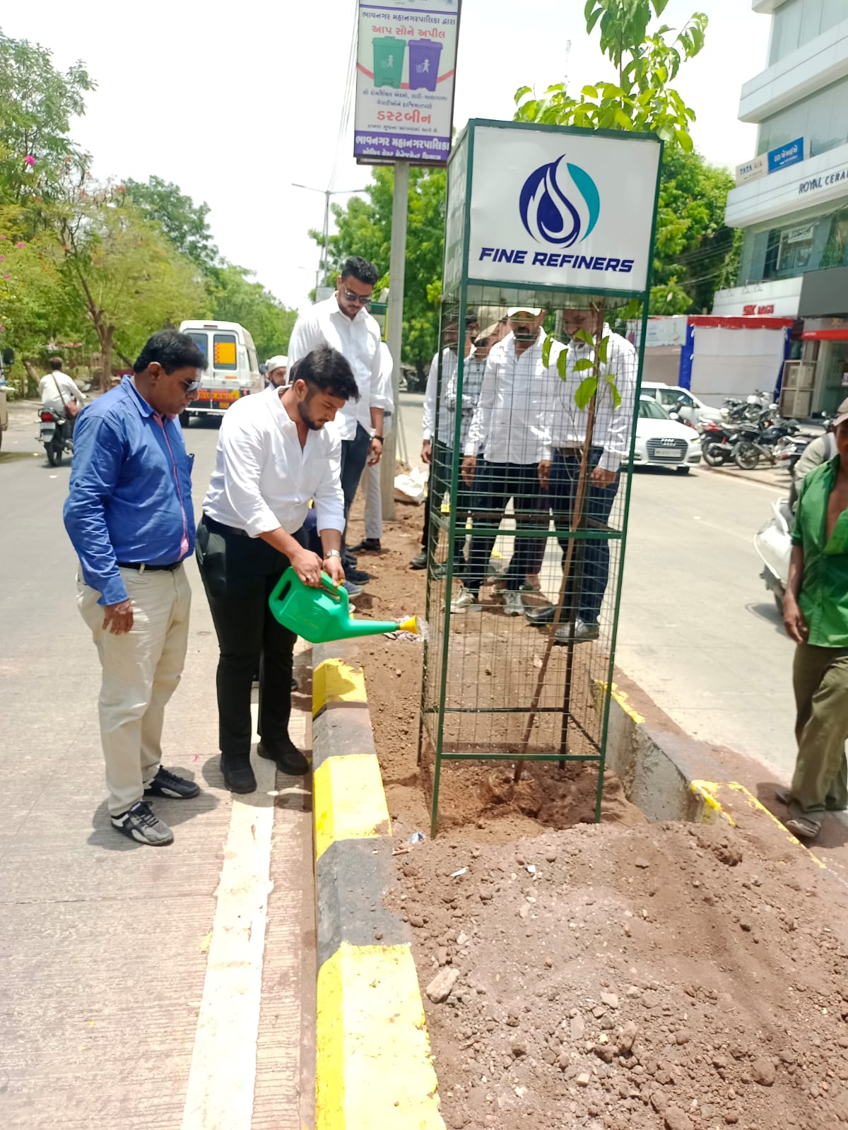 Tree Plantation